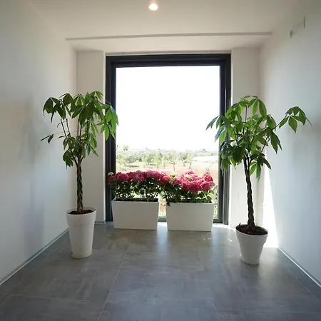 Terra Di Negroamaro 莱韦拉诺