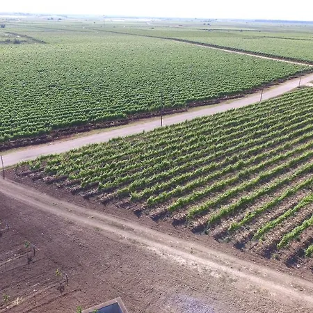 Farm stay Terra Di Negroamaro