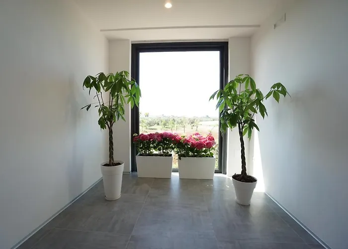 Terra Di Negroamaro Leverano